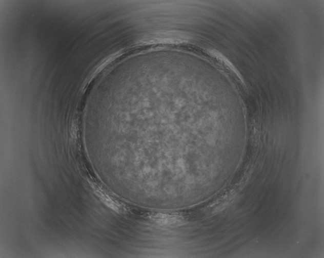 X0000084050874200702232349