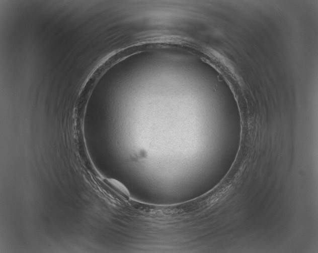 X0000084050875200702232349