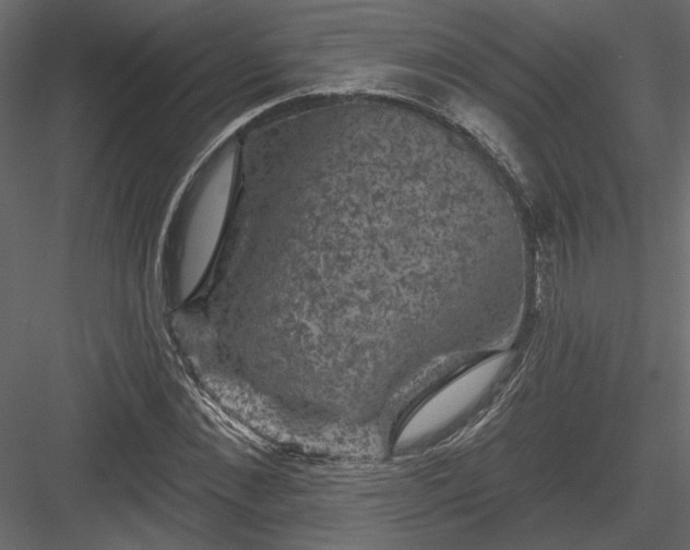 X0000084050876200702232348