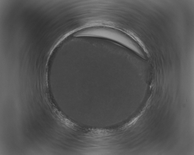 X0000084050877200702232348