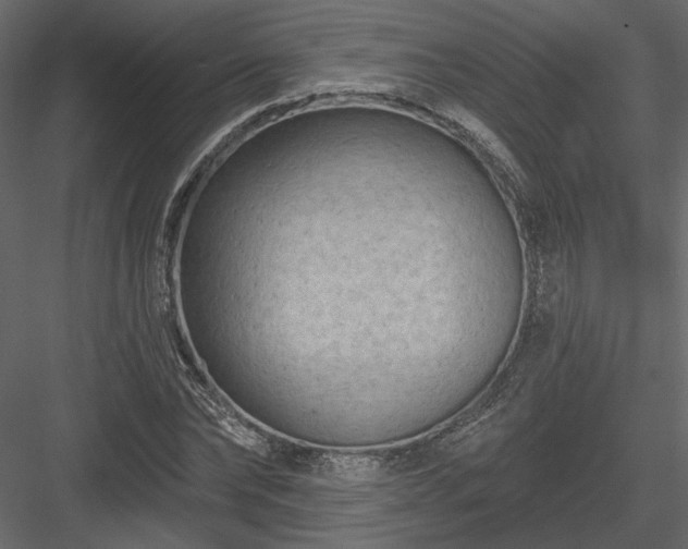 X0000084050878200702232348