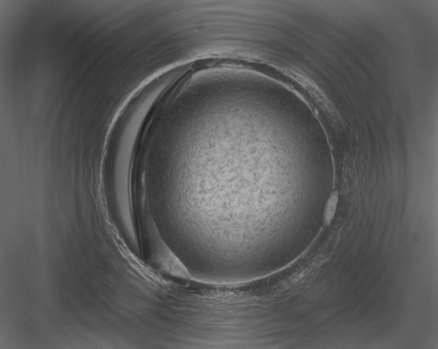 X0000084050880200702232348