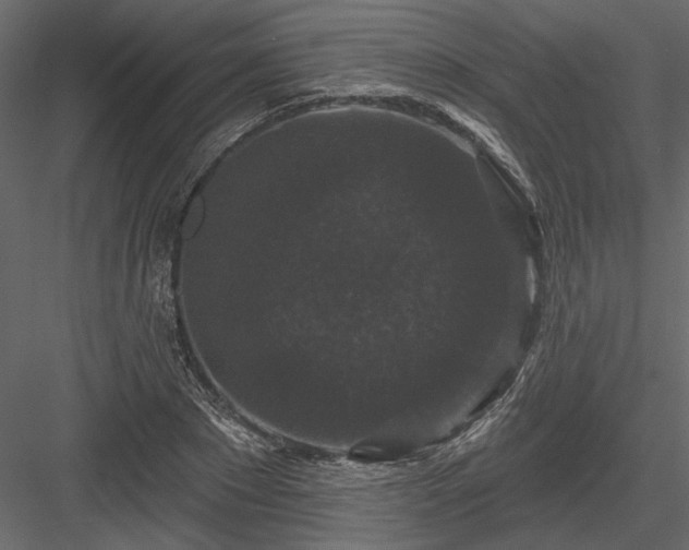 X0000084050881200702232348