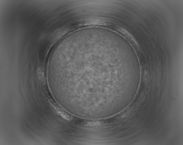 X0000084050882200702232348