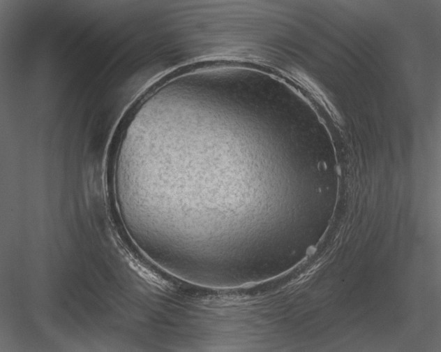 X0000084050884200702232348