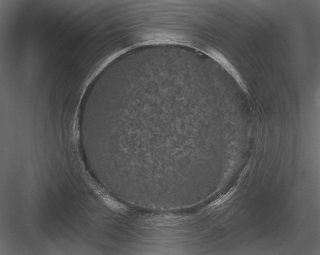 X0000084050885200702232348