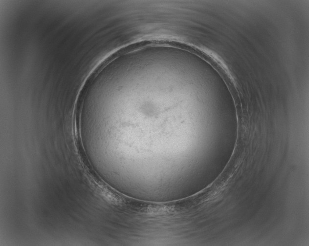 X0000084050887200702232348