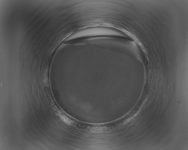 X0000084050889200702232348