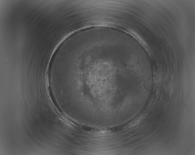 X0000084050891200702232348