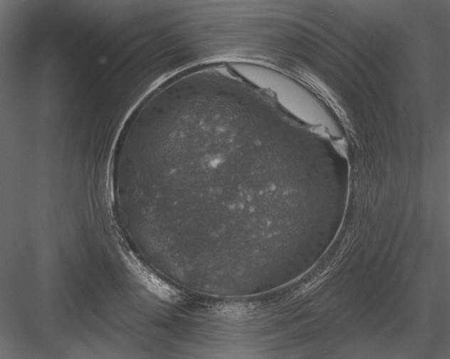 X0000084050892200702232348