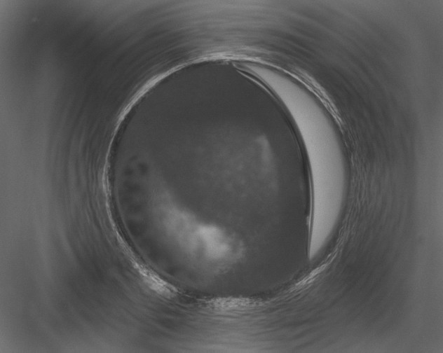 X0000084050893200702232348