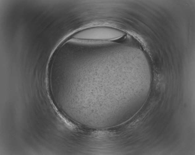 X0000084050894200702232348