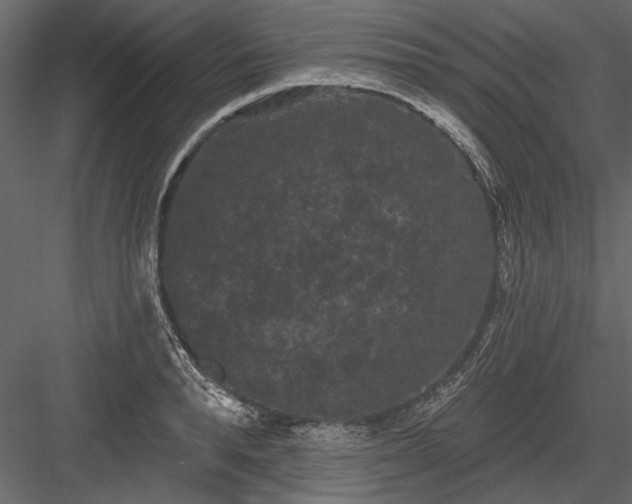 X0000084050896200702232348