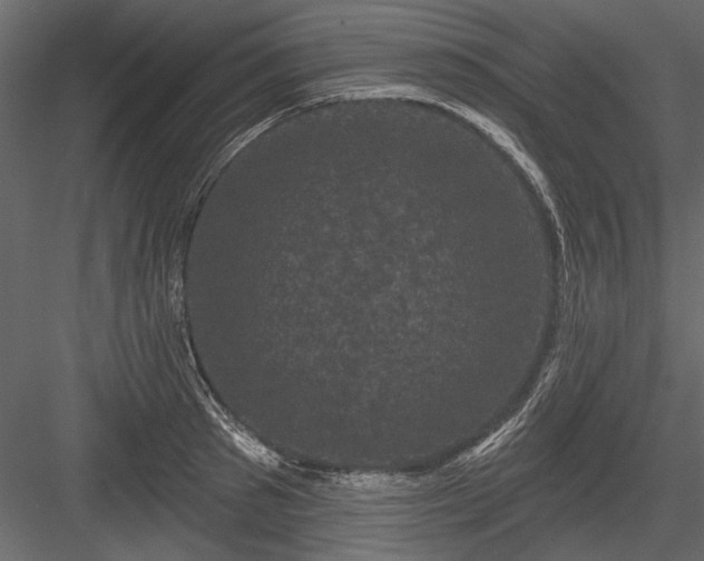 X0000084050897200702232348