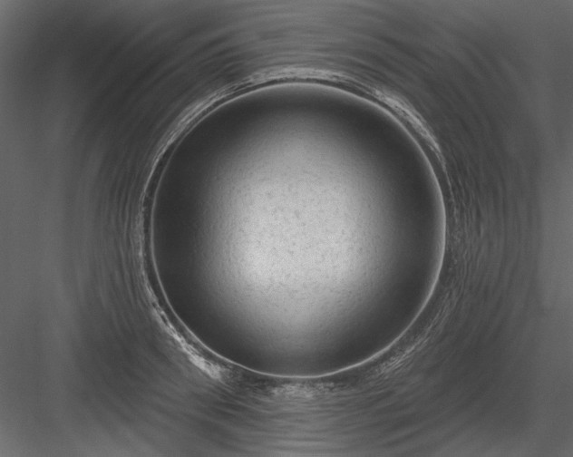 X0000084050898200702232348