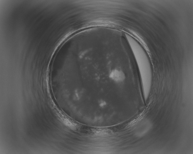 X0000084050899200702232348