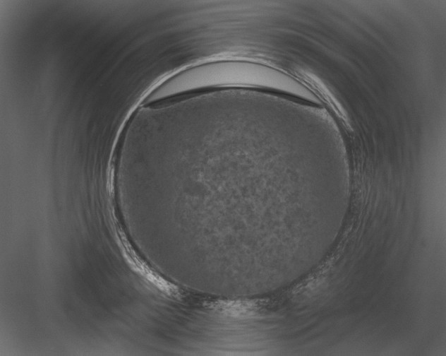 X0000084050900200702232348