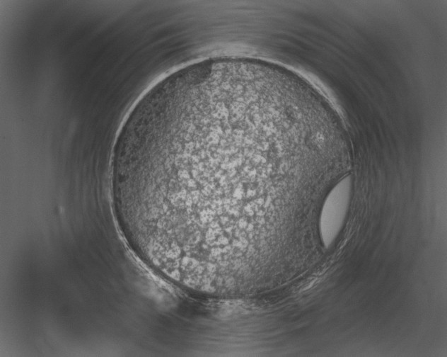 X0000084050903200702232348