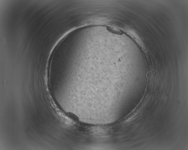 X0000084050904200702232348