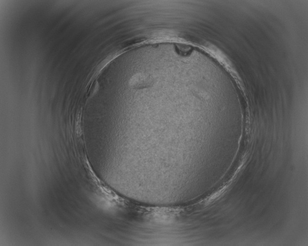 X0000084050905200702232348