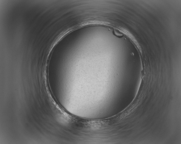 X0000084050906200702232348