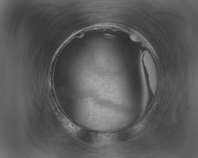 X0000084050908200702232348