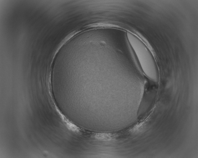 X0000084050909200702232348