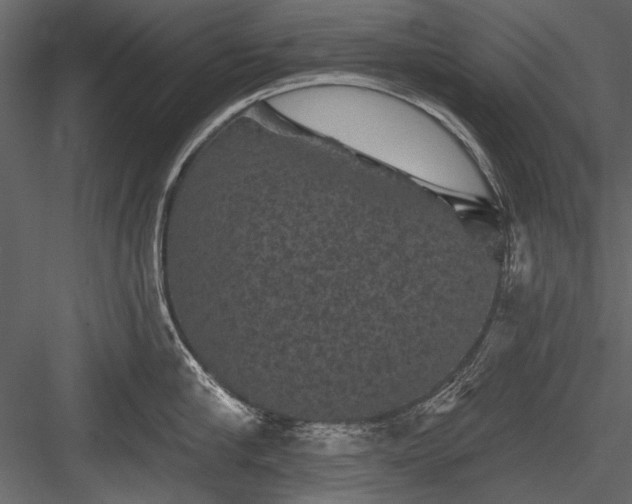 X0000084050910200702232348