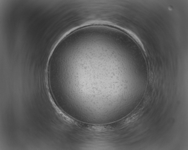 X0000084050911200702232348