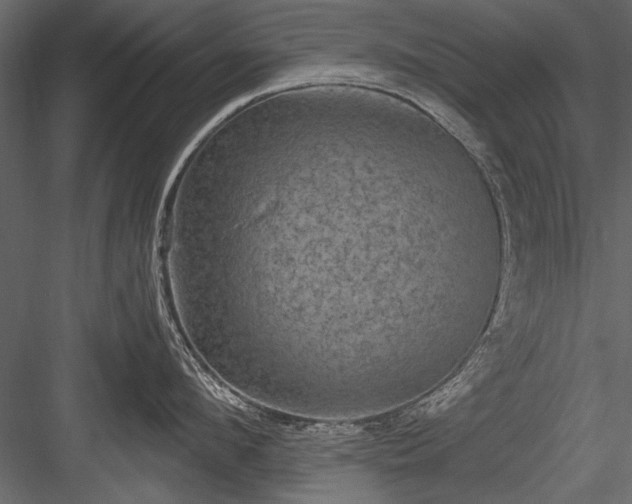 X0000084050912200702232348