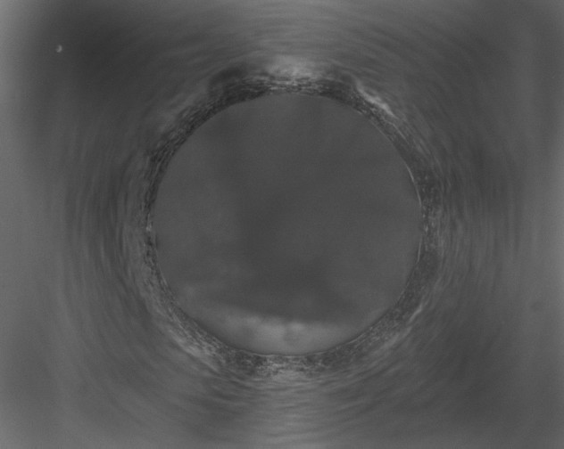 X0000084050913200702232347