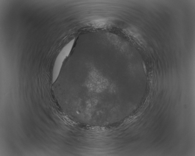 X0000084050916200702232347