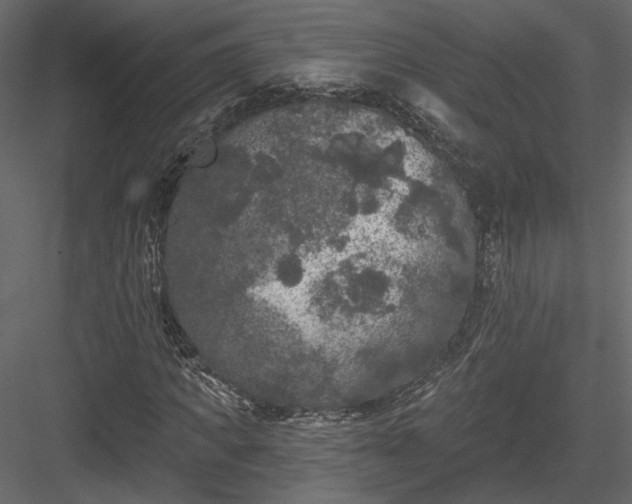 X0000084050917200702232347