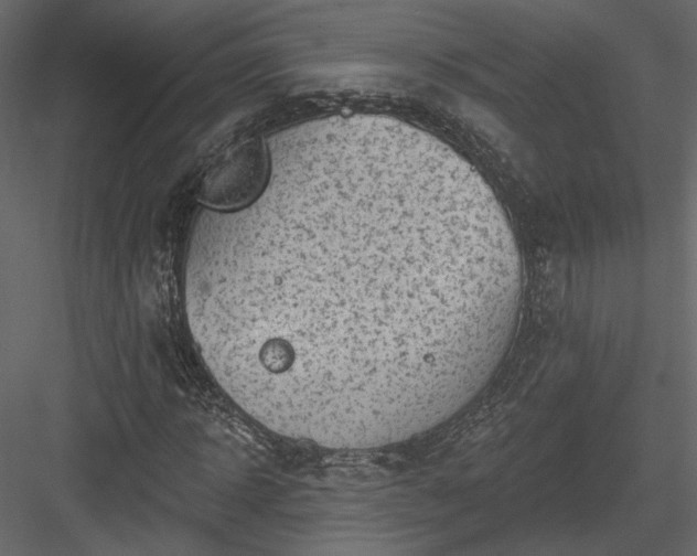 X0000084050918200702232347