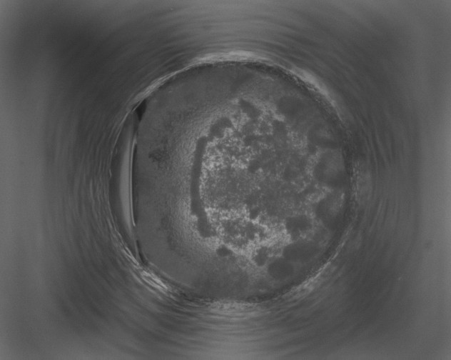 X0000084050921200702232347