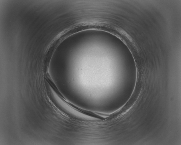 X0000084050922200702232347