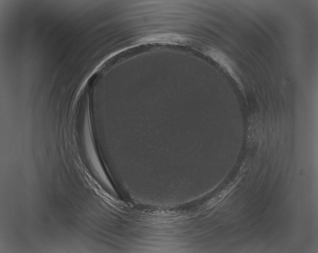 X0000084050923200702232347