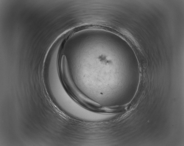 X0000084050924200702232347