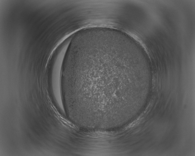 X0000084050925200702232347