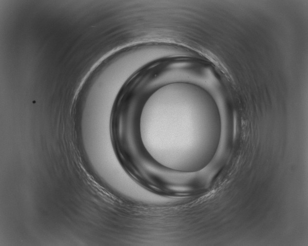 X0000084050926200702232347