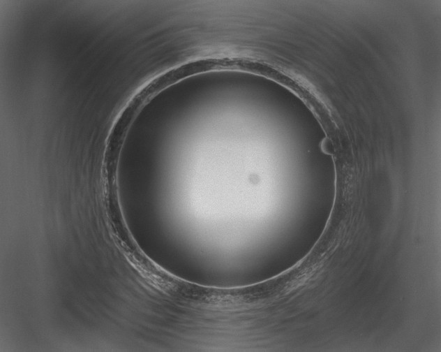 X0000084050927200702232347