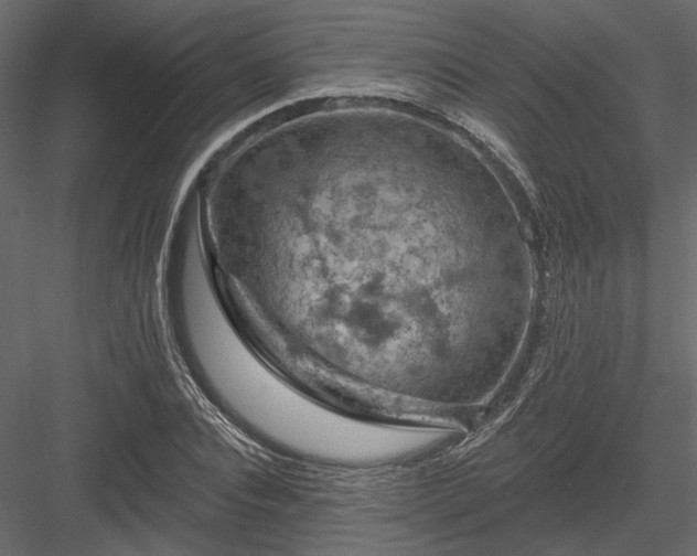 X0000084050928200702232347