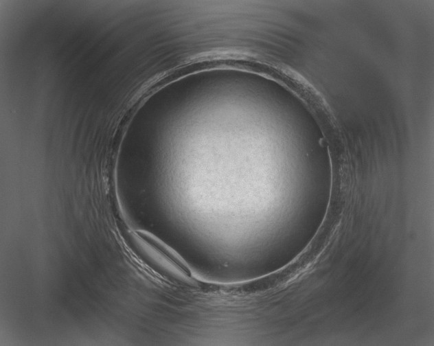 X0000084050929200702232347