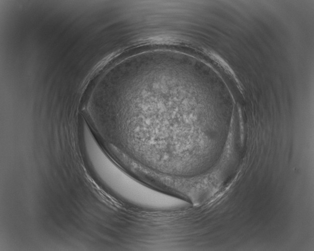 X0000084050930200702232347