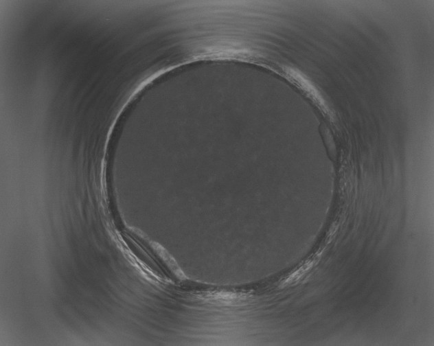 X0000084050932200702232347