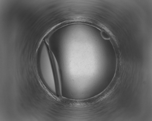 X0000084050933200702232347