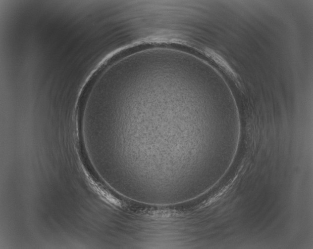 X0000084050934200702232347