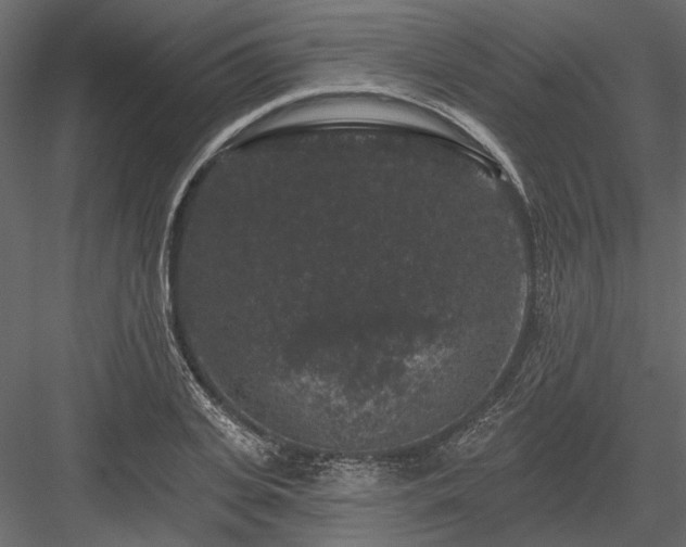 X0000084050935200702232347