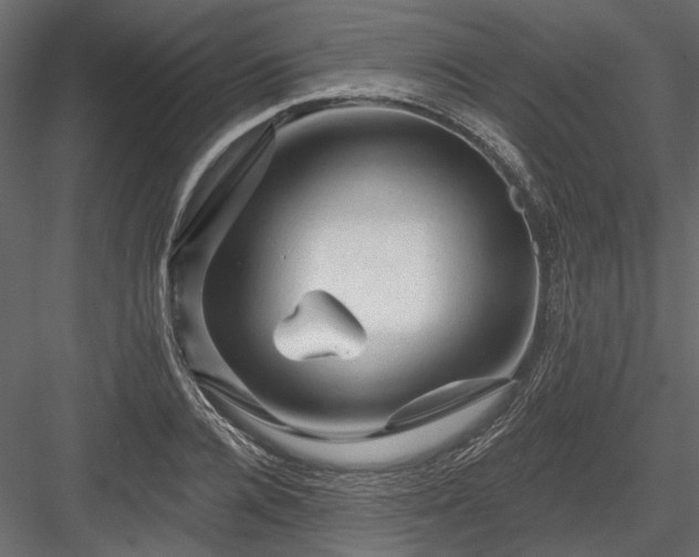 X0000084050936200702232347