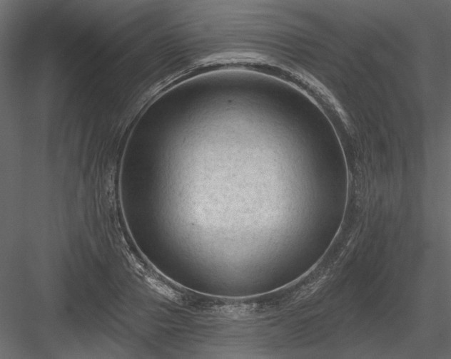 X0000084050937200702232347